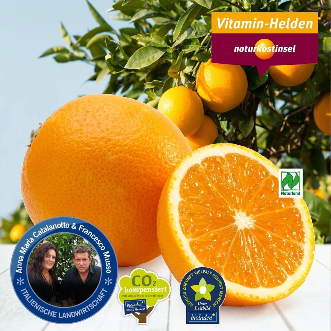🍊🍊🍊Wusstet ihr, dass die Orange eine Beere ist? Ha, wieder was gelernt 🤓. Dieses rundum fantastische Früchtchen hat einiges zu bieten: Vitamine, ätherische Öle, sekundäre Pflanzenstoffe und ganz viel Geschmack. Ist die Schale ungespritzt (bei uns eine Selbstverständlichkeit😉), kann man auch diese verzehren. Wir möchten euch kurz einen unserer Orangen-Lieferanten vorstellen: Die Erzeugergemeinschaft L’arcobaleno. Sie entstand 1993 dank der weitsichtigen und verantwortungsvollen Entscheidung einiger Landwirte. Sie entschieden sich, ihre Felder mit alten Techniken und Traditionen zu bewirtschaften im Bewusstsein, die Gesundheit der Verbraucher und die Umwelt zu schützen. Die Anbauflächen der Genossenschaft L’arcobaleno befinden sich in den hügeligen Tälern des Berges Sicane in 200 bis 600 Metern über dem Meeresspiegel. In der herrlichen Landschaft in der Nähe von Villafranca Sicula auf der italienischen Insel Sizilien wachsen Orangen erstklassiger Qualität. Das warme Klima, die fehlende Feuchtigkeit und der Wind geben Zitrusfrüchten ihren besonderen Geschmack und ihre wertvollen Eigenschaften.

#naturkostinsel #bioistbesser #wissenwoesherkommt #larcobaleno #bioladen #angeberwissenorange #organiclife #nachhaltigeinkaufen #nachhaltigelandwirtschaft